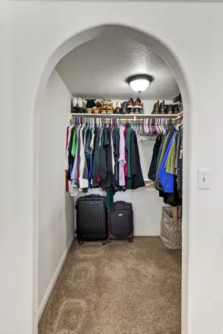 Arched entryway leading to a closet featuring a flush-mount ceiling light, white wall shelving, hanging rods, and carpeting