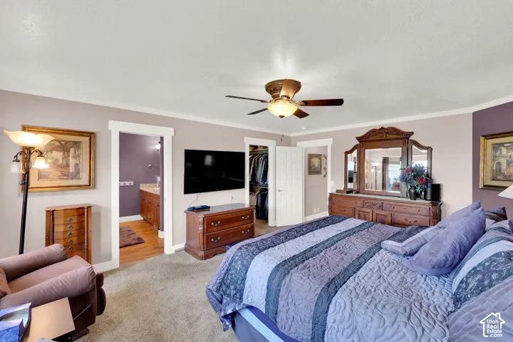 Carpeted room featuring a ceiling fan with integrated lighting, white trim, and a doorway leading to a bathroom with wood-finish flooring and a vanity with a light-colored countertop