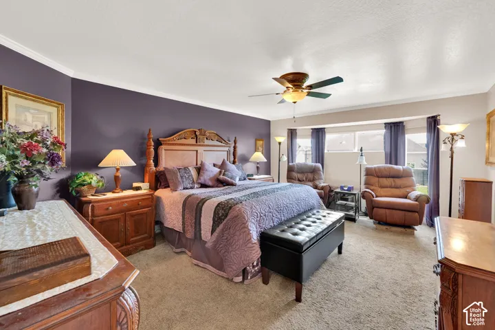 Spacious bedroom featuring neutral carpeting, a tray ceiling with a built-in ceiling fan, and crown molding