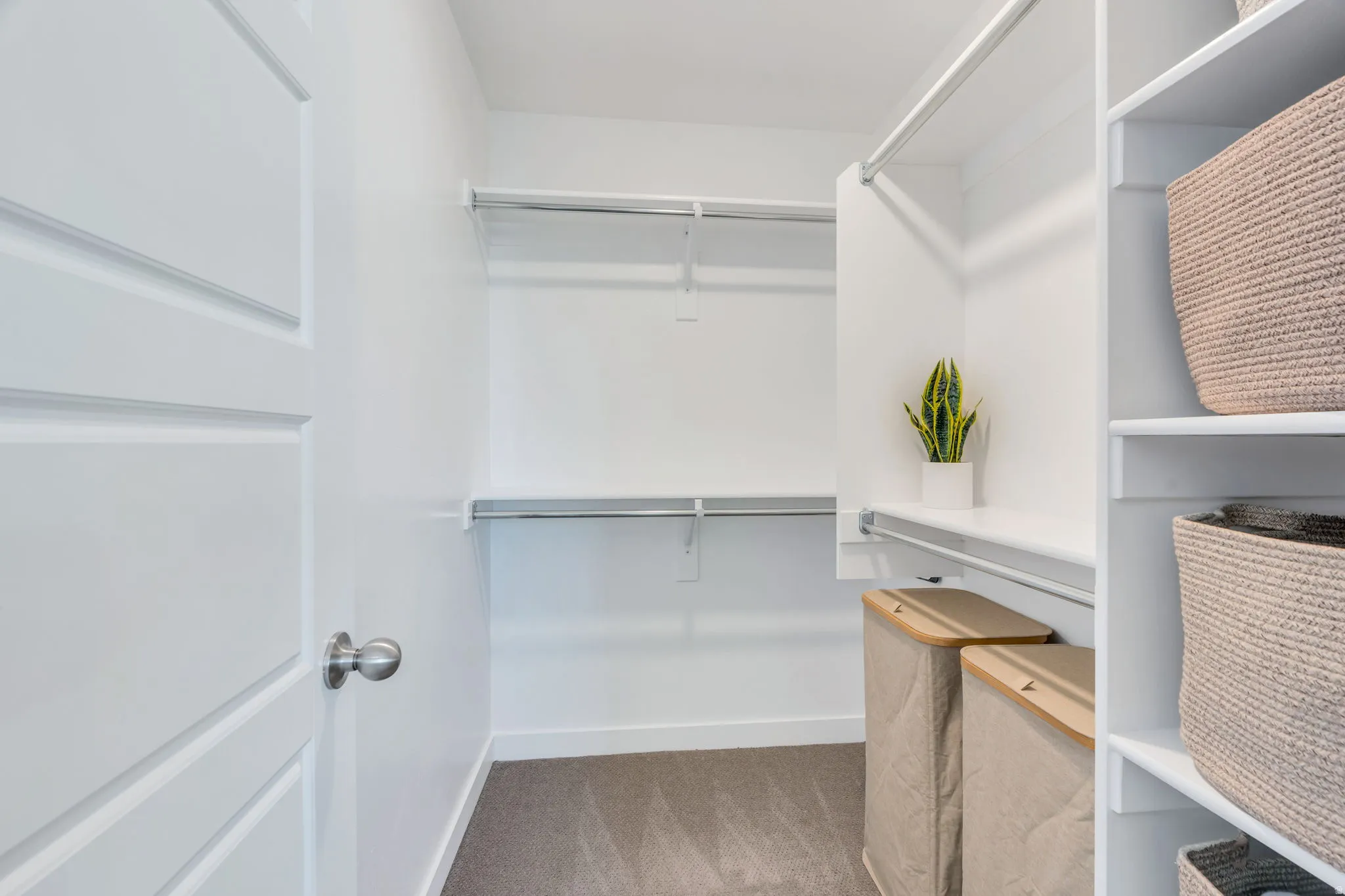 Walk-in closet featuring white built-in shelving, chrome hanging rods, and carpeting