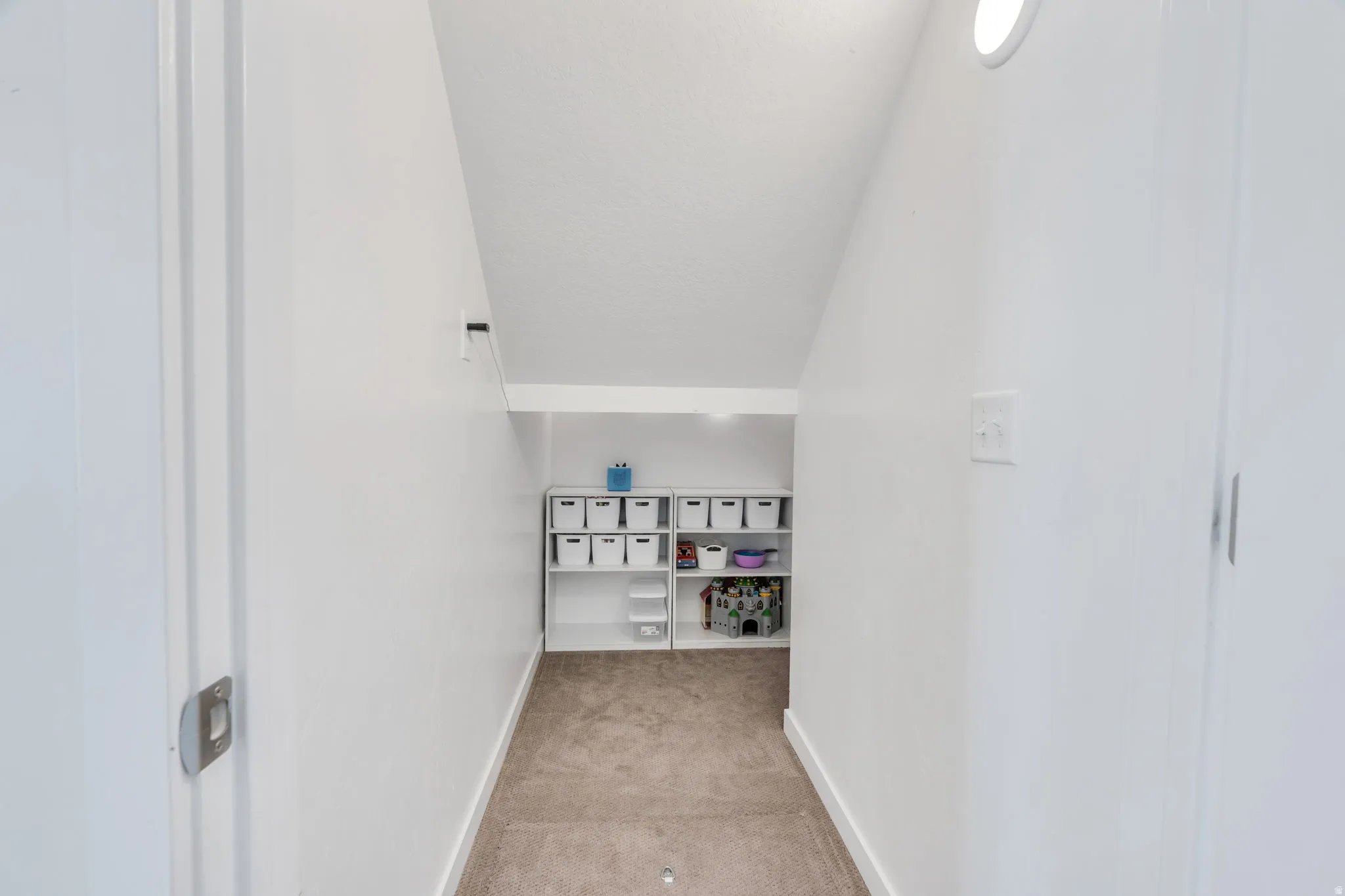 Under-stair storage area featuring built-in shelving, white walls, and a light-colored carpet