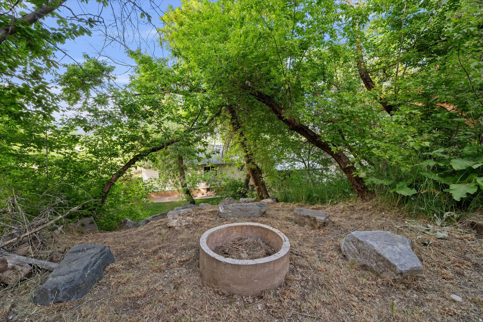 Natural landscape featuring a built-in fire pit, mature trees, and a sloped terrain