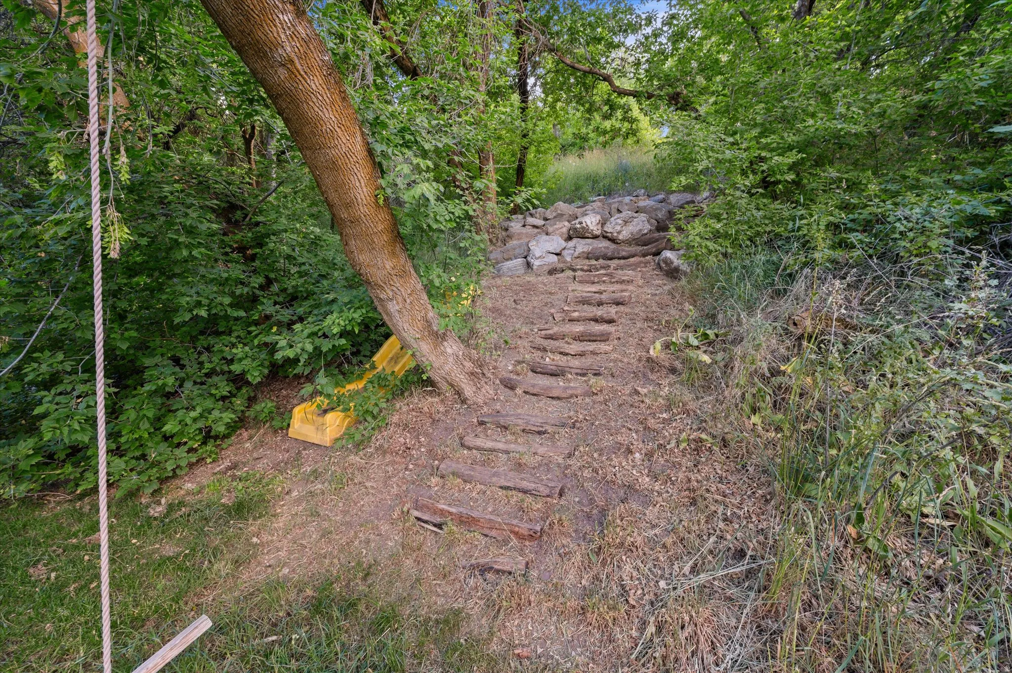 Terraced hillside path featuring natural wood risers and stone accents, surrounded by abundant mature trees and varied foliage