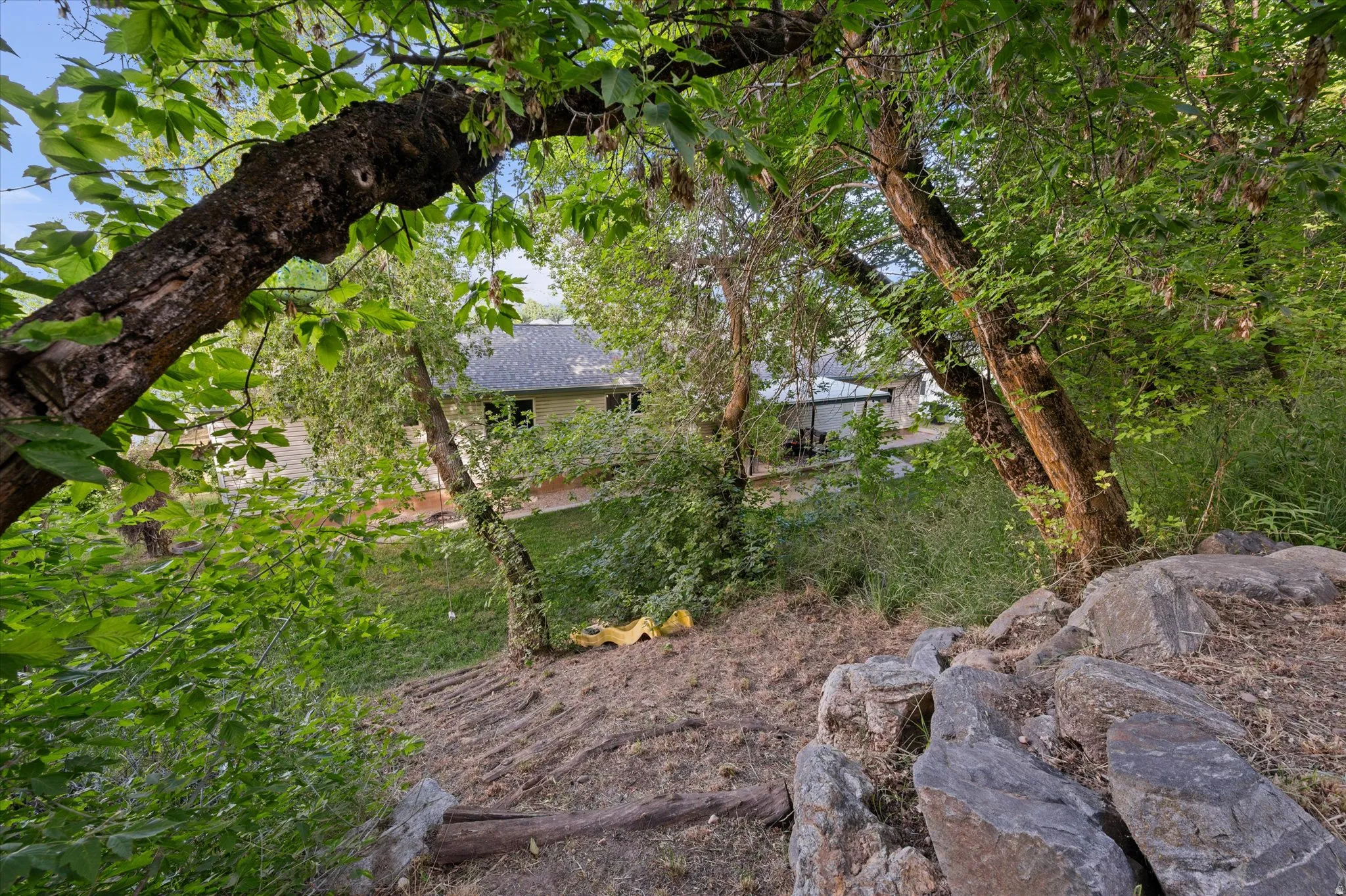 Natural landscaping with mature trees and visible rock formations