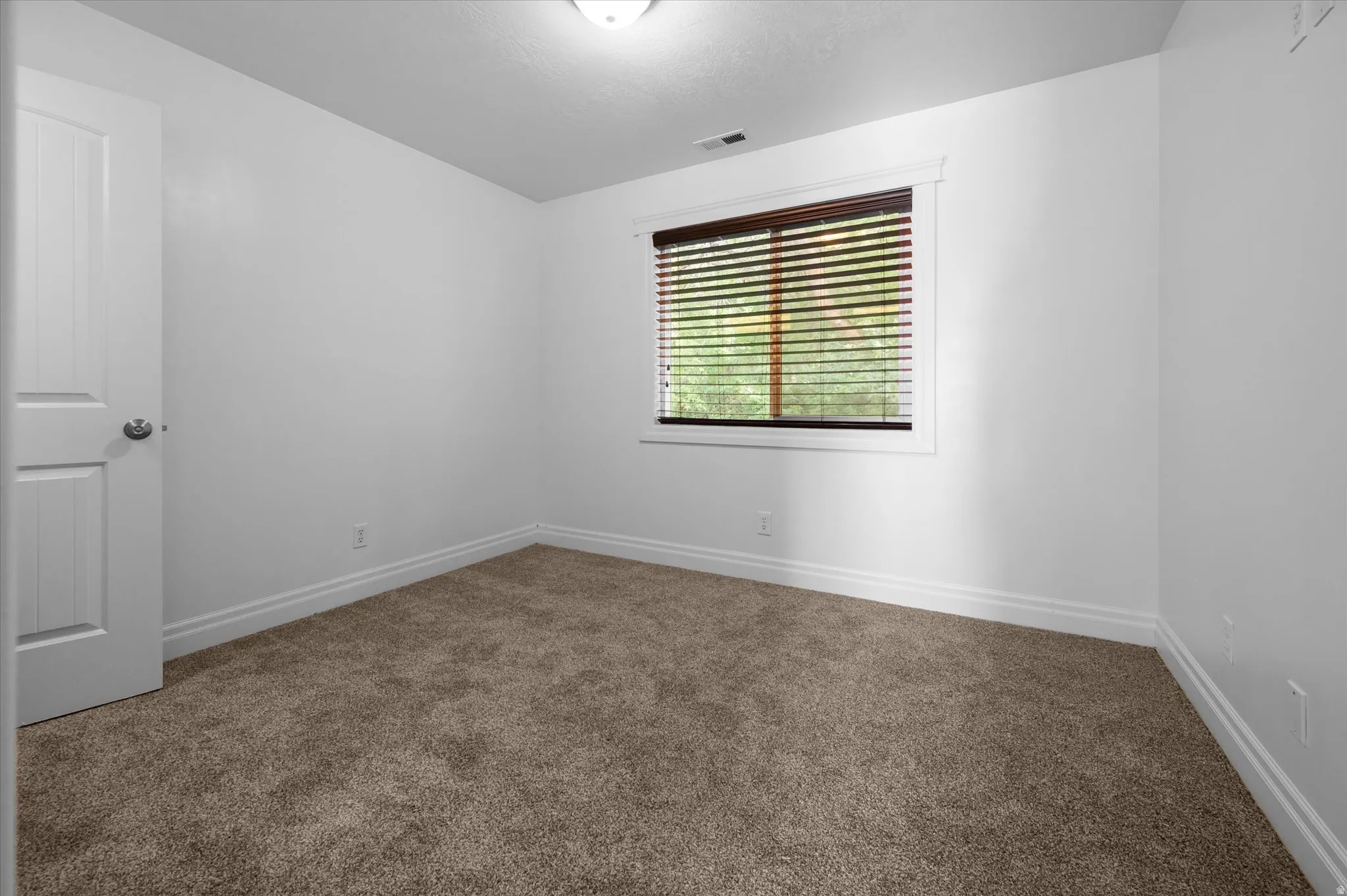 Carpeted room featuring a single window with dark wood blinds, white trim, and a white interior door