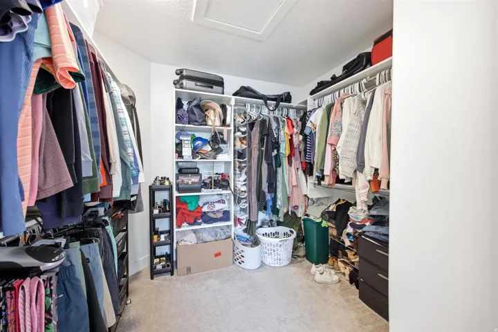Walk-in closet featuring carpet flooring, built-in shelving, and multiple clothing rods