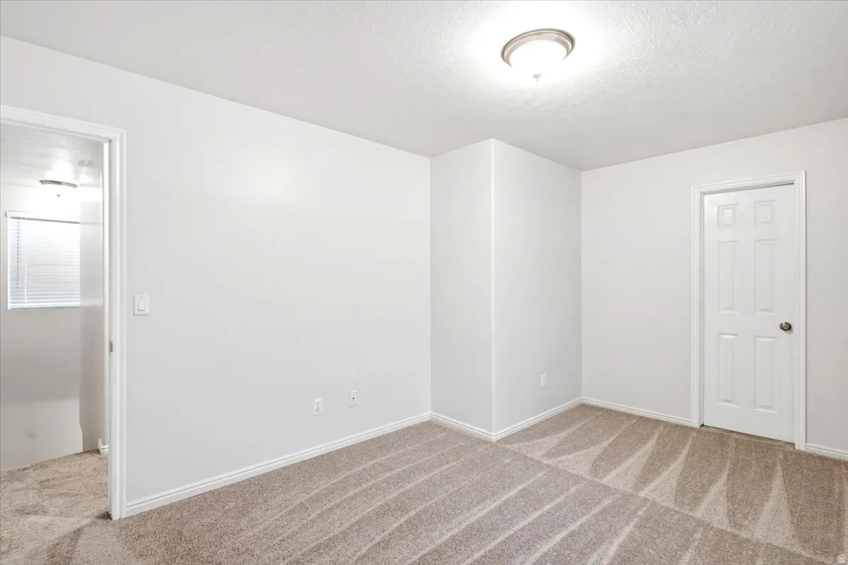 Room featuring neutral carpeting, a paneled interior door, and a flush-mount ceiling light fixture