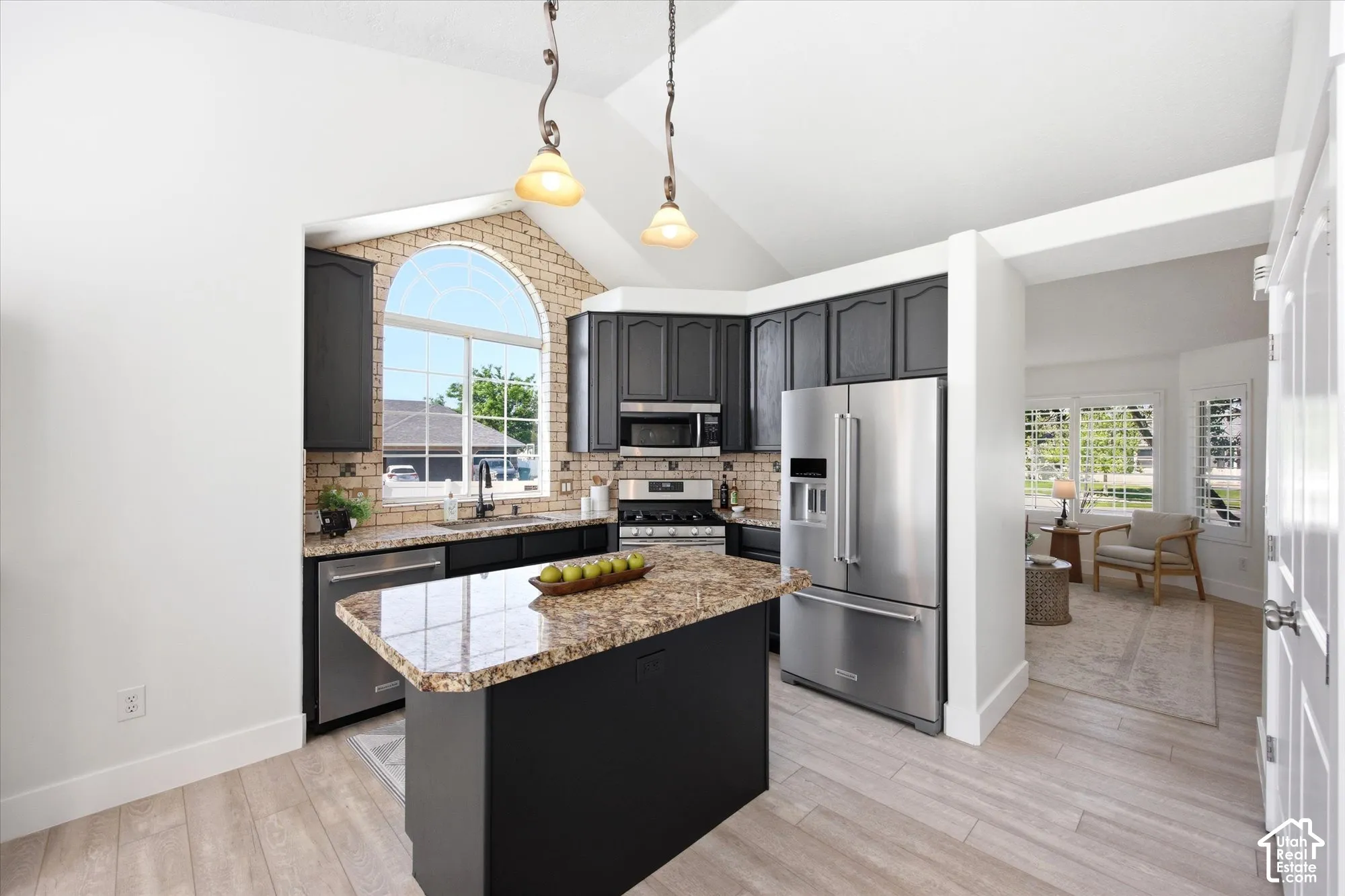 Kitchen featuring a vaulted ceiling, dark cabinetry, stainless steel appliances, and wood-finish flooring