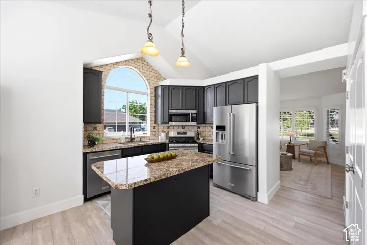 Kitchen featuring a vaulted ceiling, dark cabinetry, stainless steel appliances, and wood-finish flooring