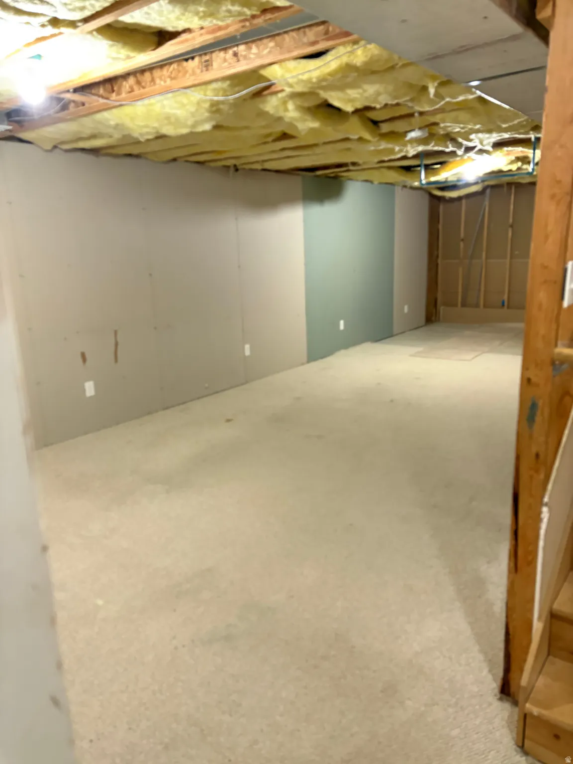 Unfinished basement space featuring exposed ceiling joists with insulation, partial wall framing, and light-colored carpeting