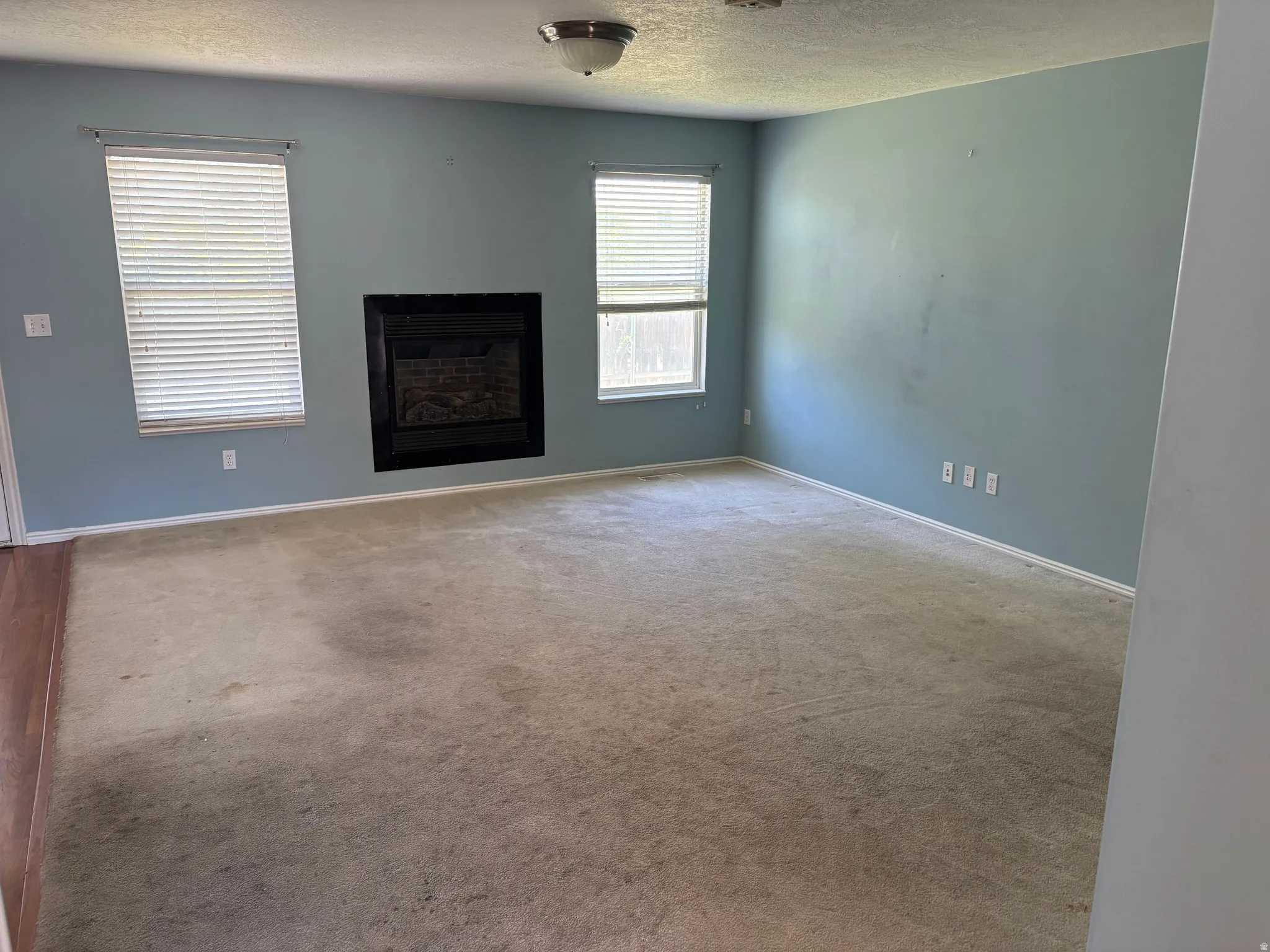 Living area featuring a black-framed fireplace, two windows with blinds, light blue walls, and carpet flooring with a wood-finish flooring border