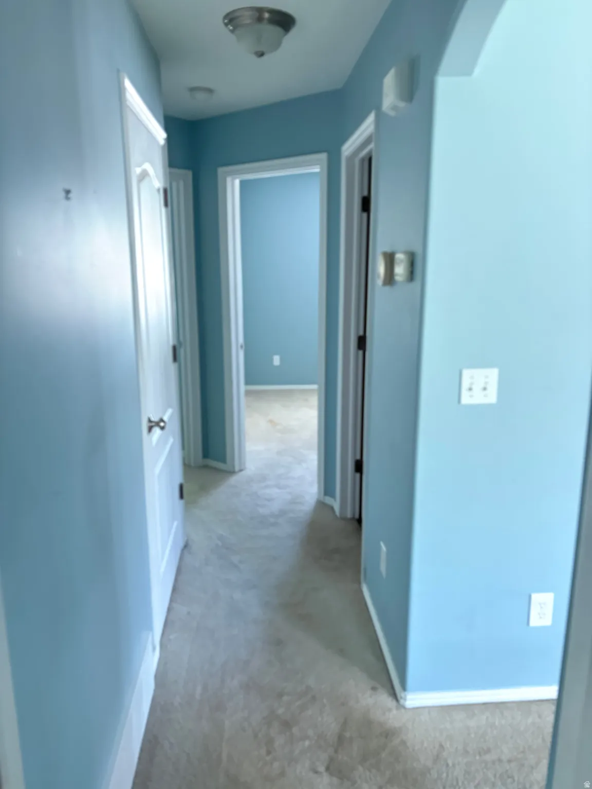Carpeted hallway with light blue wall paint and white trim
