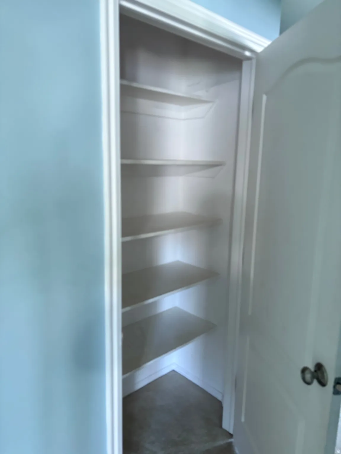 Hall Storage closet featuring five white built-in shelves, a matching white door with a dark doorknob, and light-colored carpet flooring