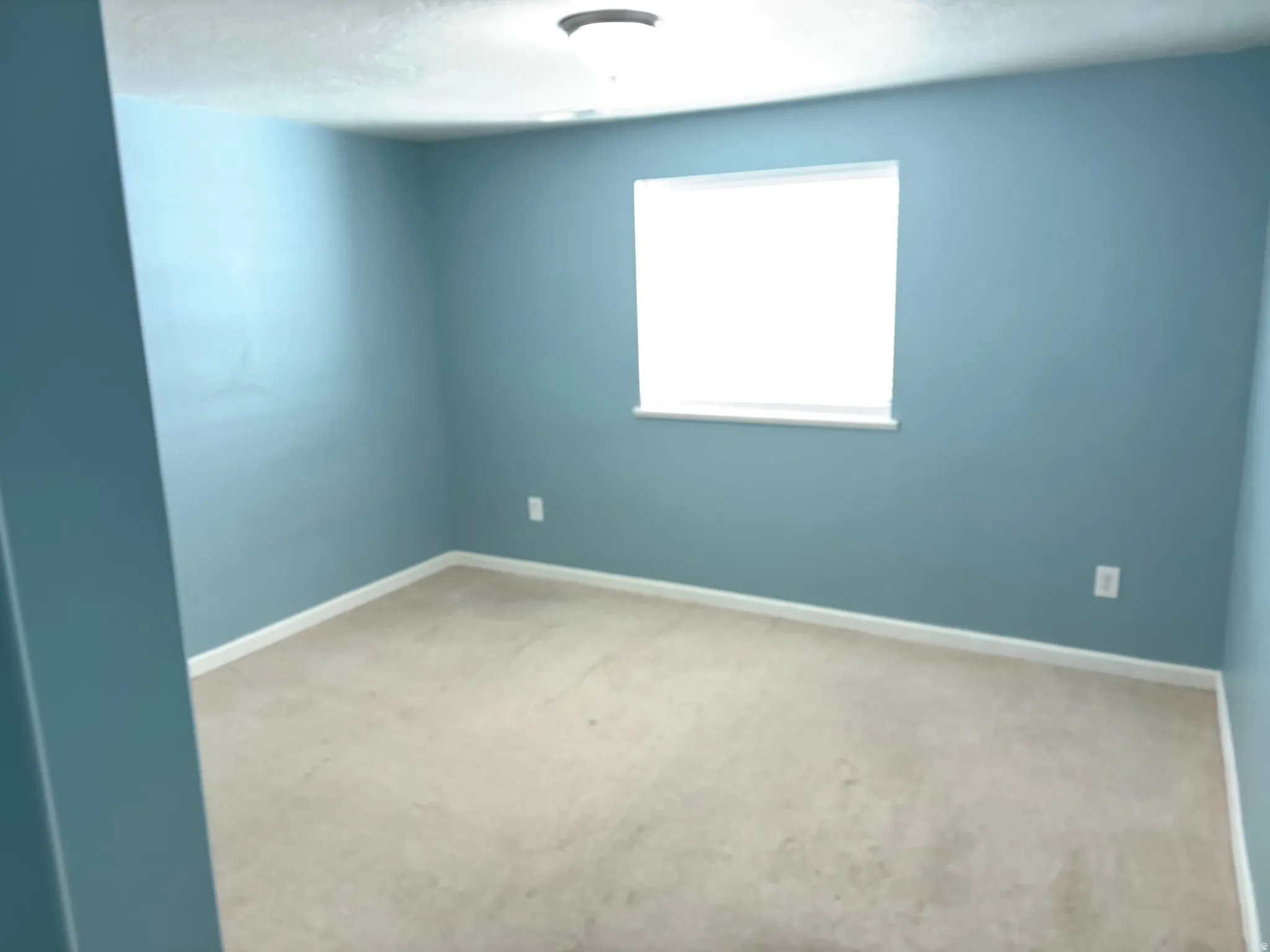 Light blue painted room featuring carpet flooring, a single window, white baseboards, and a flush mount ceiling light
