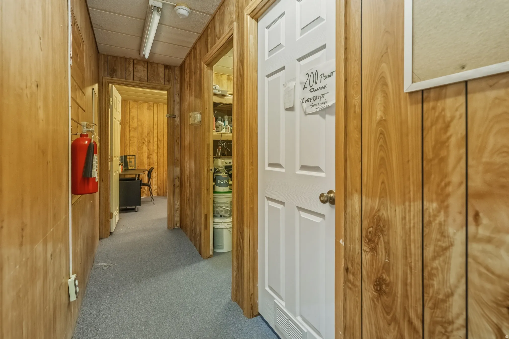 Interior hallway featuring light wood-finish paneling, blue carpeting, and a white four-panel door