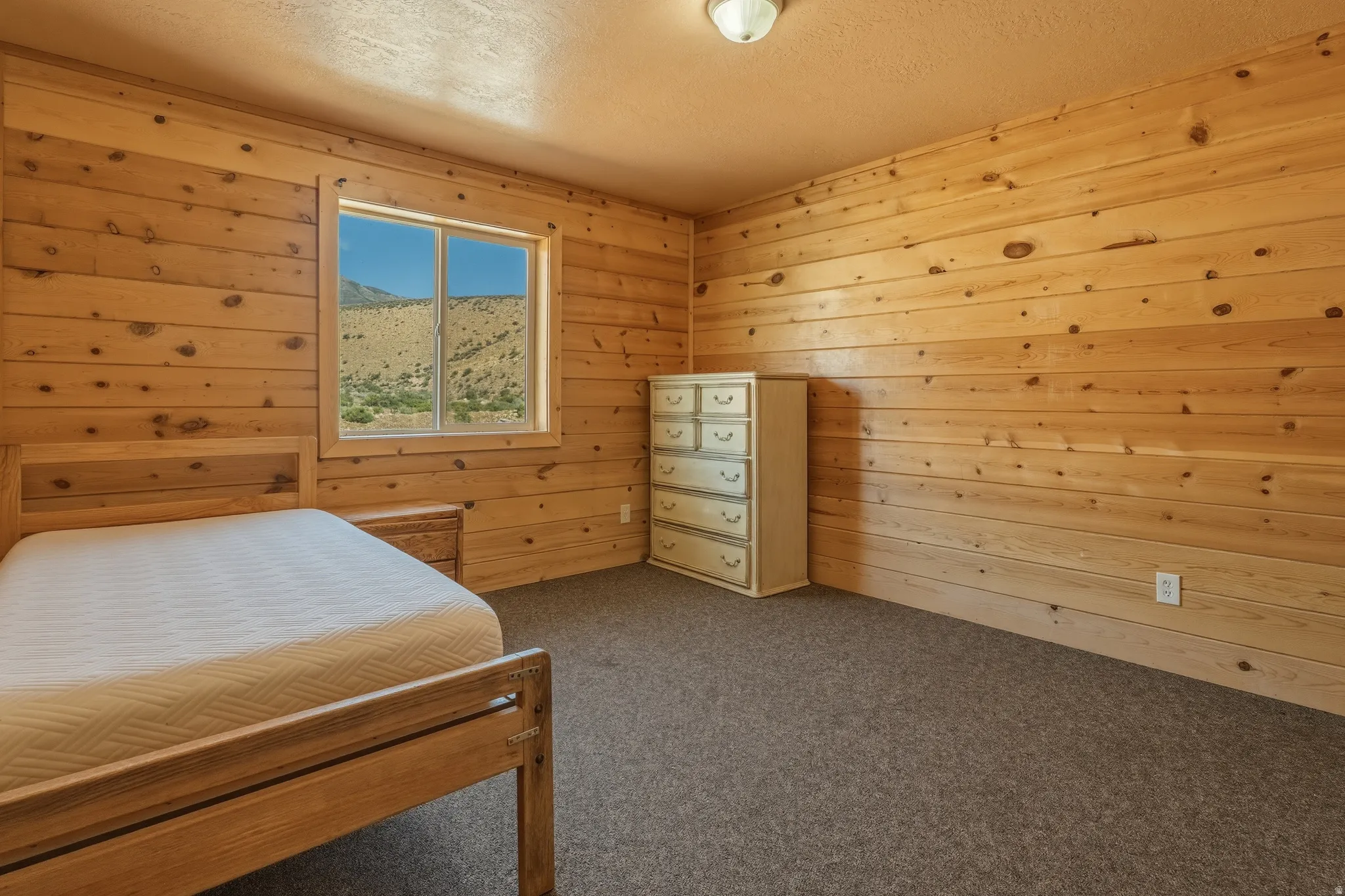 Wood-paneled room featuring a window with desert landscape, carpeted flooring, and a flush-mount ceiling light fixture