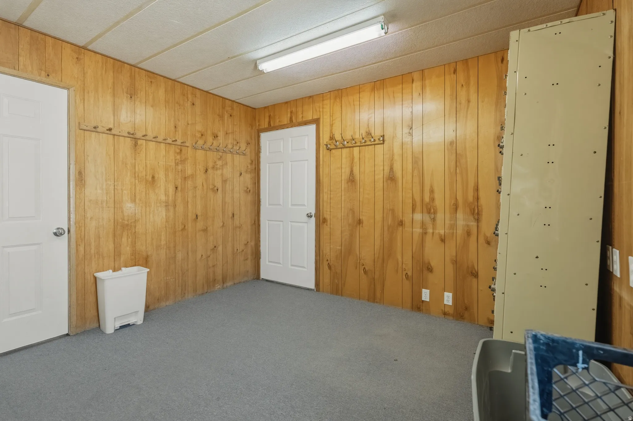 Room featuring wood-paneled walls, a gray carpeted floor, and two white paneled doors