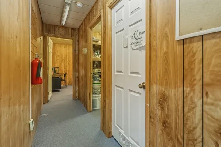 Interior hallway featuring light wood-finish paneling, blue carpeting, and a white four-panel door