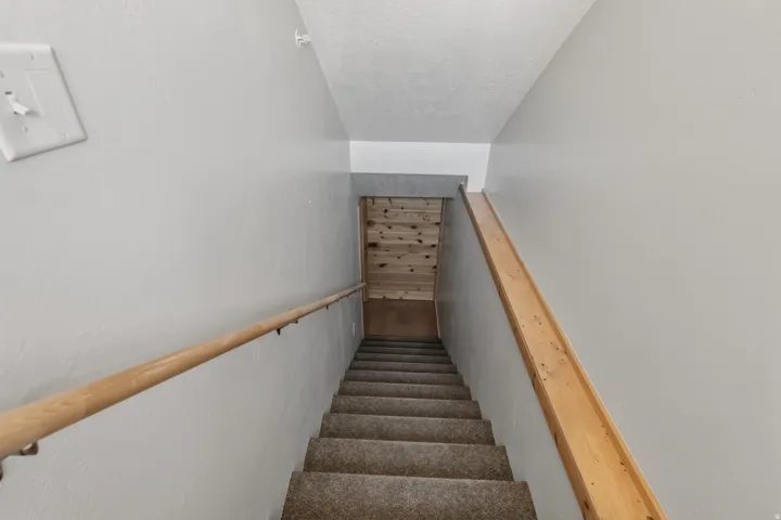 Carpeted staircase featuring a natural wood handrail and light gray wall paint