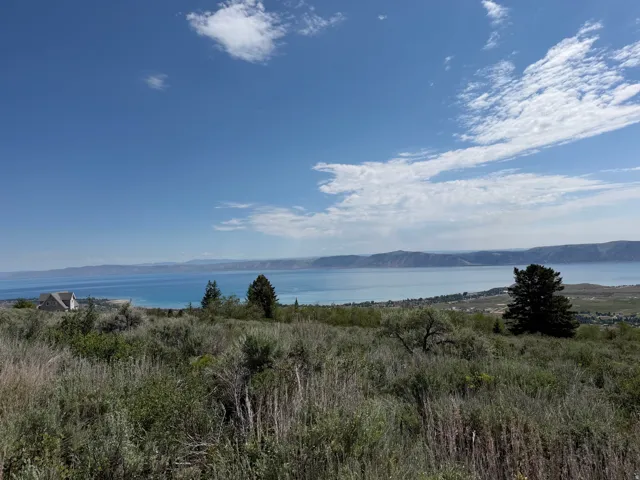 Expansive land parcel featuring natural shrubbery and a distant body of water