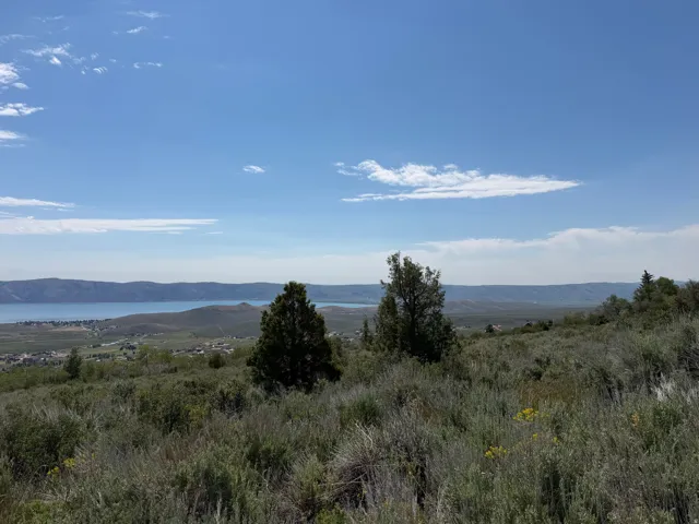 Expansive natural landscape featuring varied green foliage and scattered trees under a clear blue sky