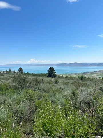 Expansive natural landscape with varied foliage, featuring a large body of water in the distance and a clear blue sky