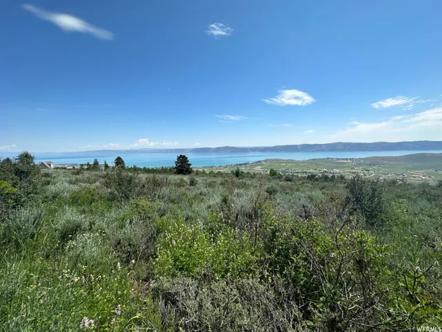 Expansive land parcel featuring natural shrubbery and varied terrain