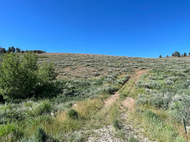 Expansive sloped terrain with natural foliage and a visible dirt path