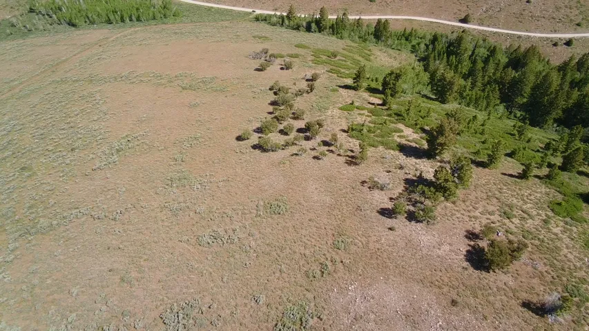 Expansive natural landscape featuring rolling terrain and diverse vegetation