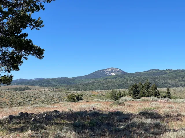 Expansive natural landscape with distant mountains, evergreen forests, and varied ground cover
