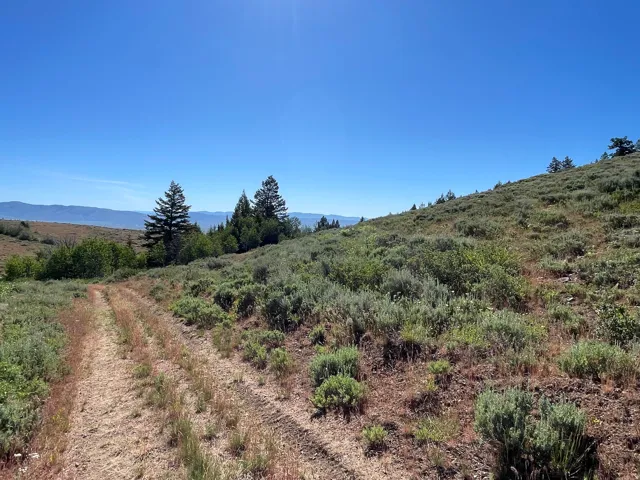 Expansive natural landscape featuring a clear blue sky, distant mountains, a dirt path, various native shrubs, and mature evergreen trees