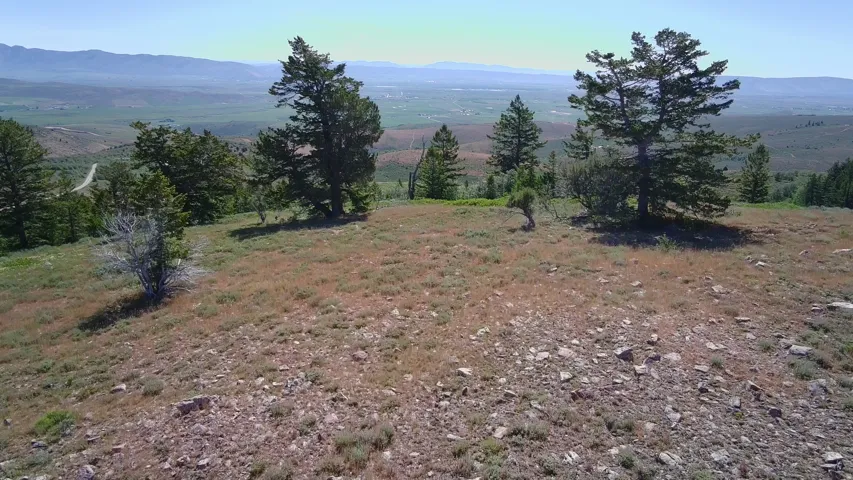 Expansive high-elevation terrain featuring mature evergreen trees and distant mountain ranges