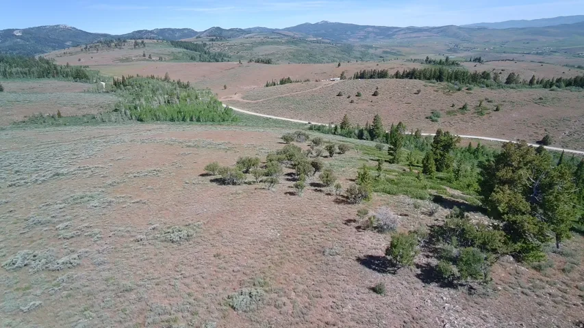 Expansive undeveloped terrain featuring varied ground cover, distant treelines, and a winding dirt road