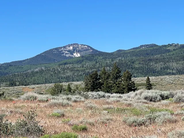 Expansive natural landscape featuring rolling hills and distant mountains