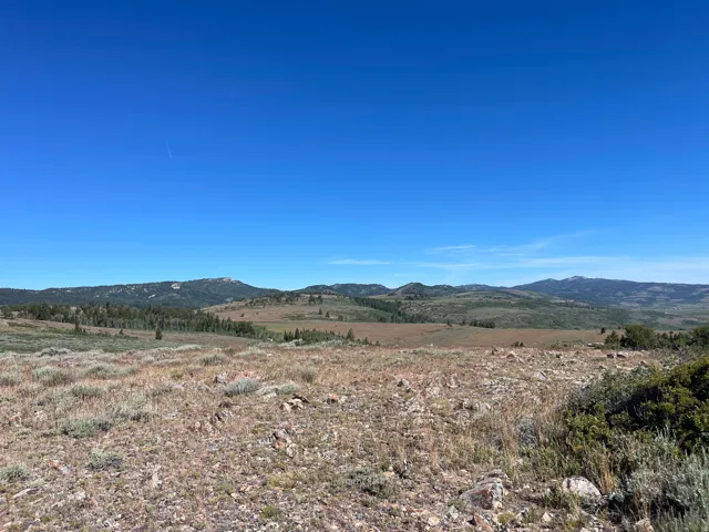 Expansive open terrain featuring natural vegetation and distant rolling hills