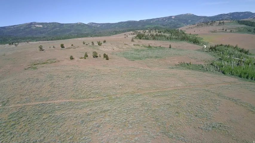 Expansive open land featuring diverse vegetation, including grassy areas and scattered trees