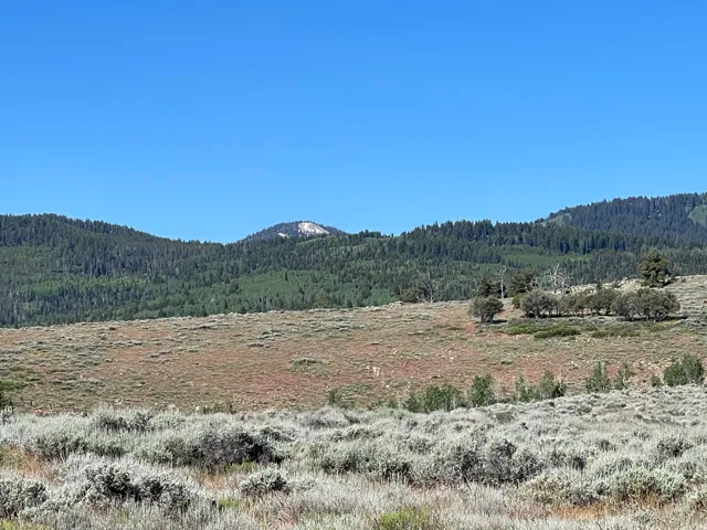 Expansive land parcel featuring natural shrubbery and distant mountainous terrain