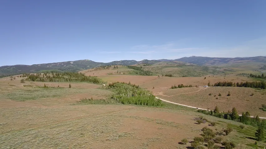 Expansive land with varied topography, including grassy fields and scattered tree groupings