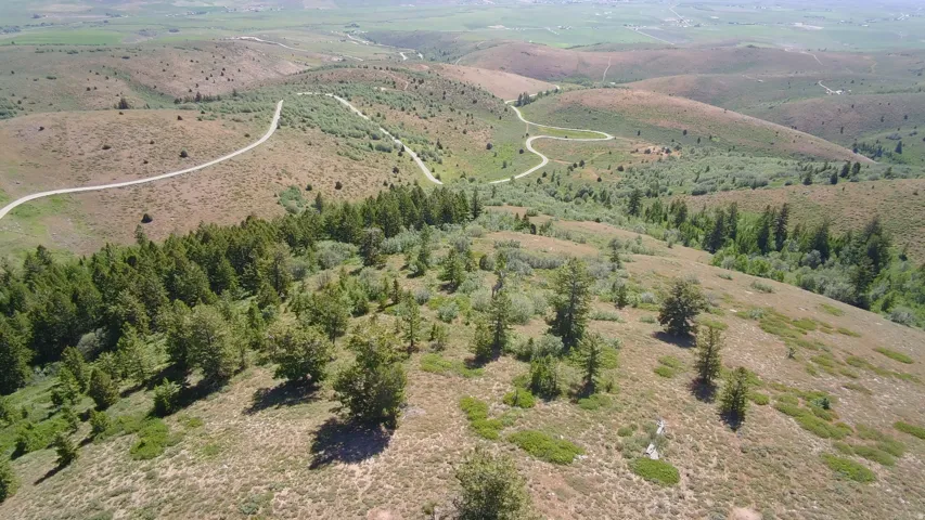Expansive undulating terrain featuring diverse vegetation