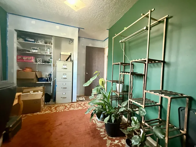Painted green walls complemented by an ornate red area rug