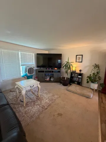 Wall-to-wall carpeting in a neutral tone