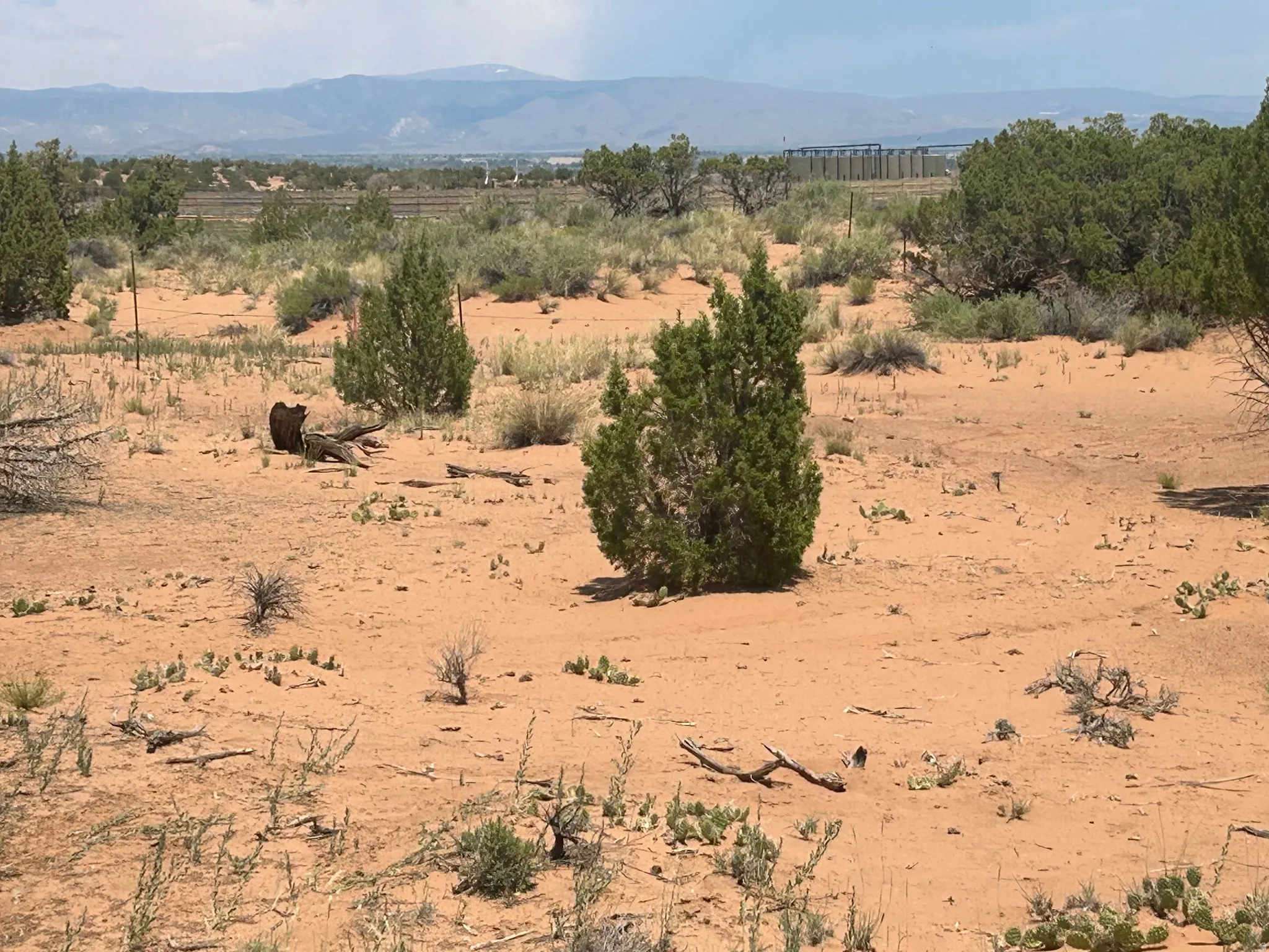 Expansive desert landscape featuring natural sand terrain and scattered green shrubbery