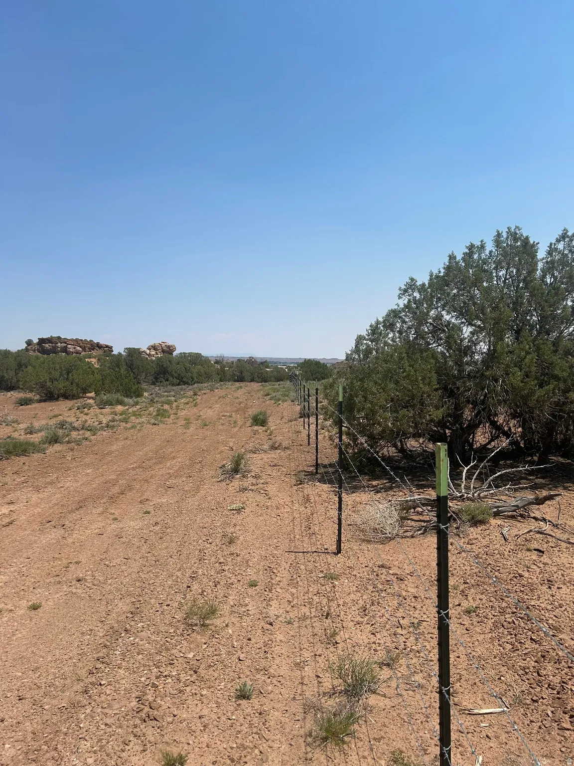 Property boundary featuring a barbed wire fence and T-posts