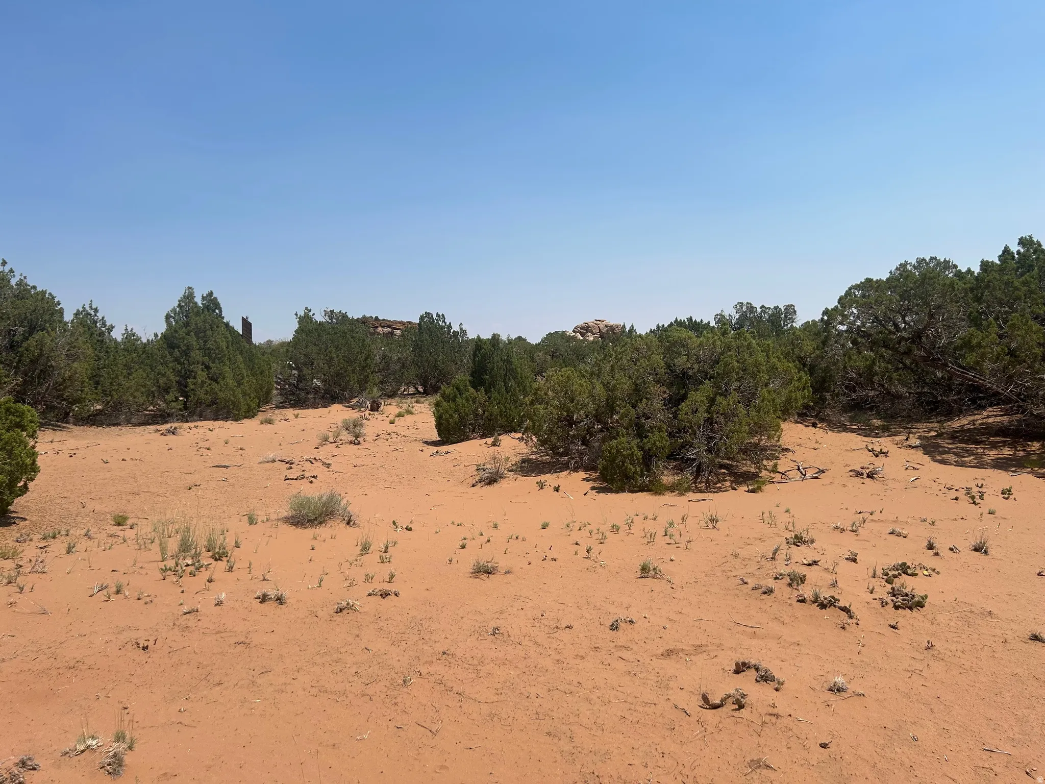 Expansive desert landscape featuring red sand, scattered low-lying vegetation, and abundant green juniper trees