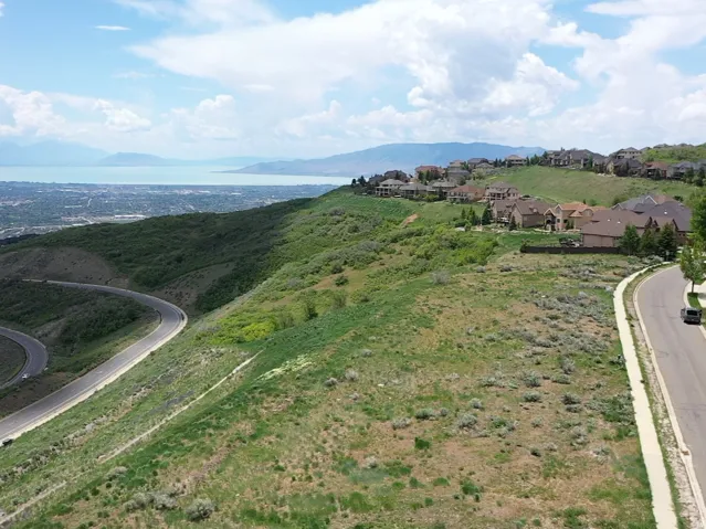 Elevated residential area featuring established homes, paved streets, and natural hillside landscaping