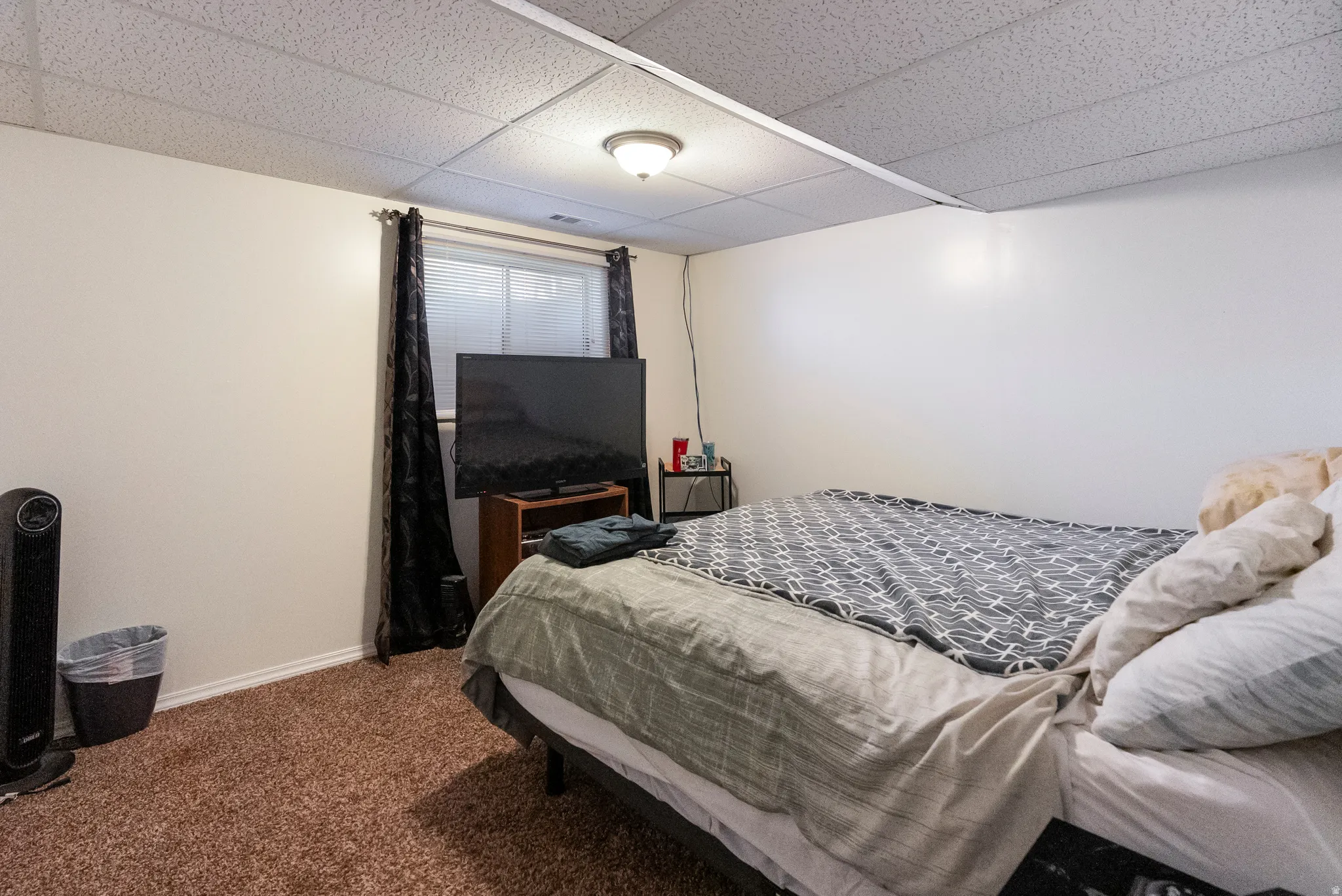 Carpeted room featuring a drop ceiling, white walls, and a single window with dark drapes