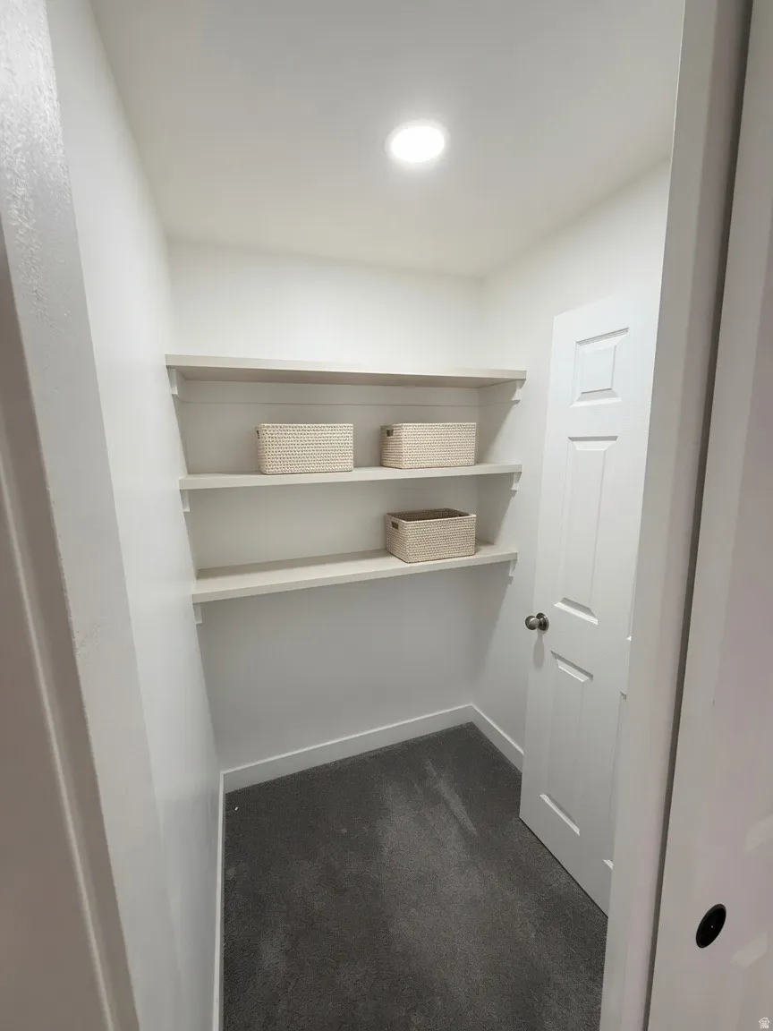 Recessed ceiling lighting illuminates a storage closet featuring white walls, deep-pile dark gray carpeting, and three levels of light wood-finish shelving