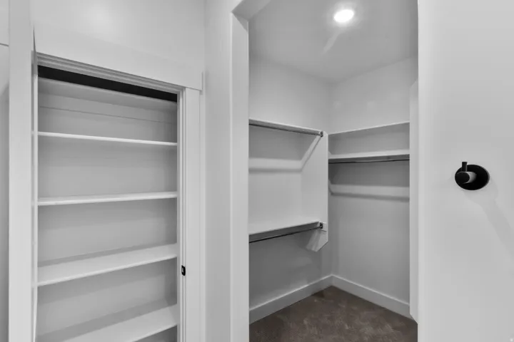 Walk-in closet featuring built-in shelving, clothing rods, recessed lighting, and carpeting
