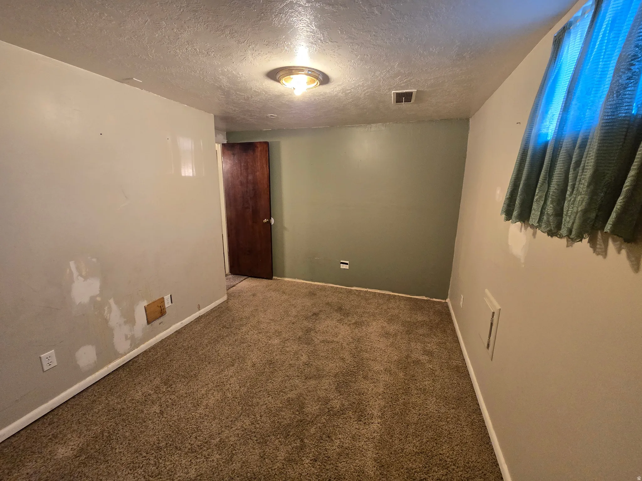 Carpeted room featuring a ceiling-mounted light fixture, a window with curtain, and a dark wood-finish door