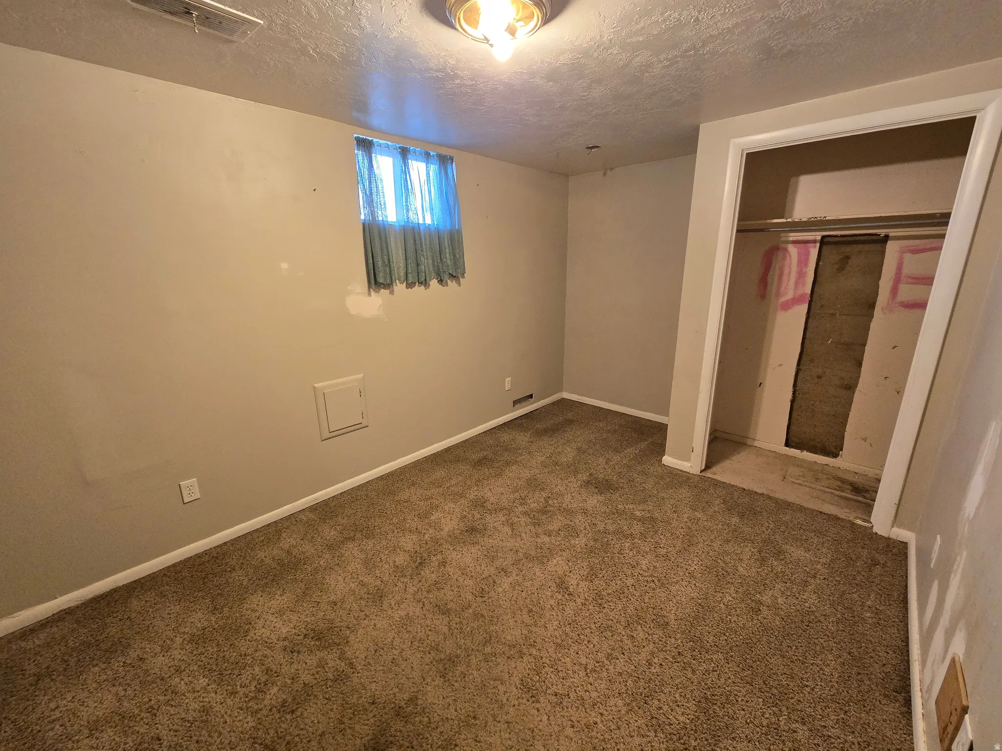 Room featuring carpet flooring, painted walls, a window with curtains, a ceiling light fixture, and an open closet space